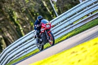 Oulton-Park-20th-March-2020;PJ-Motorsport-Photography-2020;anglesey;brands-hatch;cadwell-park;croft;donington-park;enduro-digital-images;event-digital-images;eventdigitalimages;mallory;no-limits;oulton-park;peter-wileman-photography;racing-digital-images;silverstone;snetterton;trackday-digital-images;trackday-photos;vmcc-banbury-run;welsh-2-day-enduro